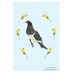 Kereru Dreaming - Tea Towel Design
