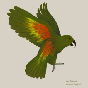 Kea - AS Colour Mens Stencil Hoodie Design