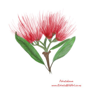 Pohutukawa Flower - Tea Towel Design