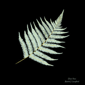 Silver Fern - Syzmik Unisex Multi-pocket Hoodie Design