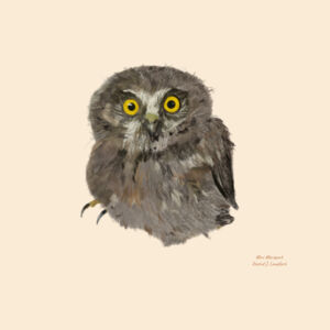 Mini Morepork Design