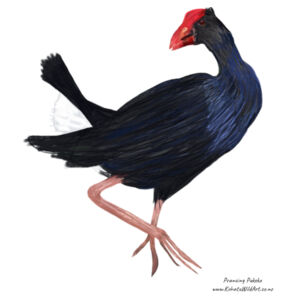 Prancing Pukeko Design