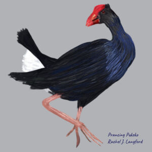Pukeko Hoodie Design