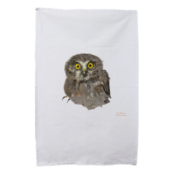 Mini Morepork Thumbnail