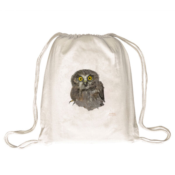 Mini Morepork Thumbnail